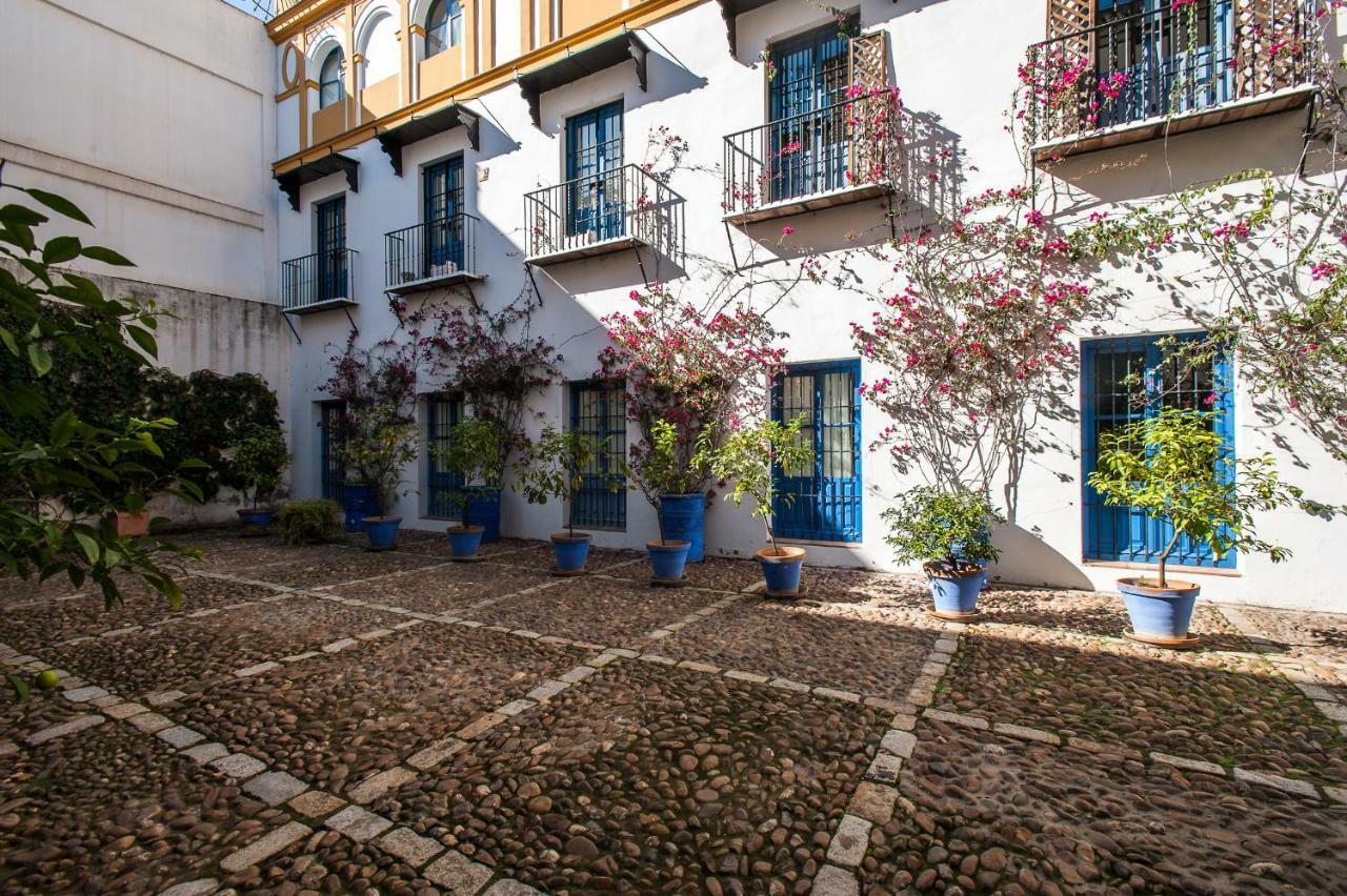 Dream Sevilla